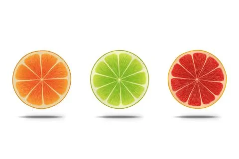 Citrus slices Stock Illustration