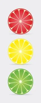 Citrus slices Illustrazione stock