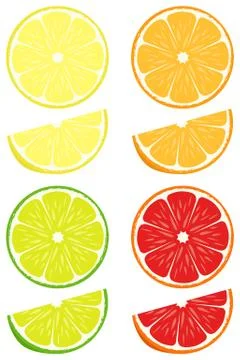 Citrus slices vector set Stock Illustration