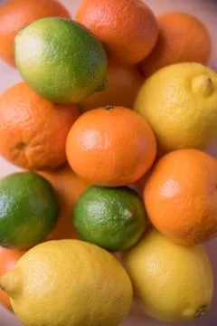 Citrus on the table Stock Photos