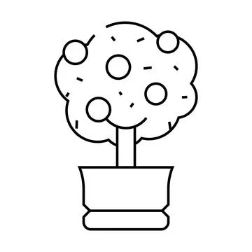 Citrus tree line icon vector illustration Stock Illustration