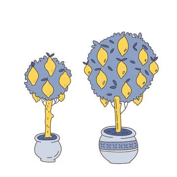 Citrus trees in the pots set. Potted lemon trees in doodle hand drawn vector Stock Illustration