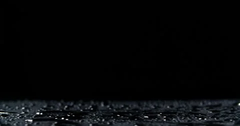Citrus varieties rolling across frame in slow motion Stock Footage 55879825
