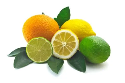 Citrus on white background Stock Photos
