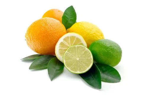Citrus on white background Stock Photos