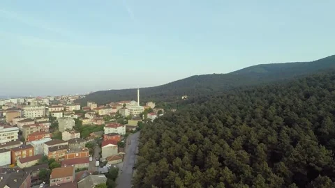 City and forest Stock Footage 197668994