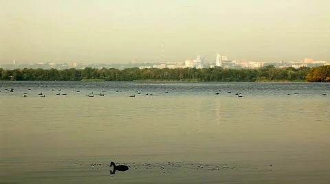 City and river Stock Footage 808178