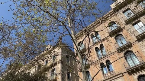 City architecture in Barcelona 스톡 동영상 344455648