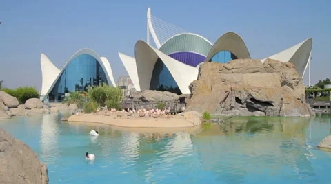 City of Arts and Sciences 8 Stock-Footage 7759240