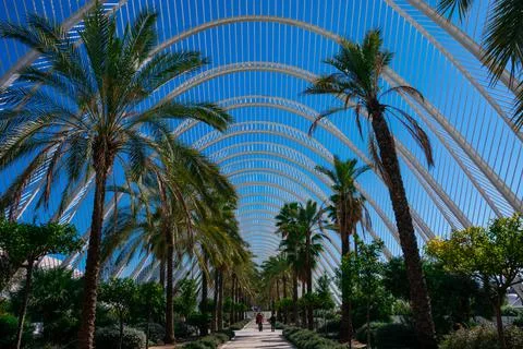 City of Arts and Sciences Stock Photos