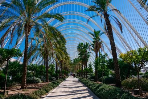 City of Arts and Sciences Stock-Fotos