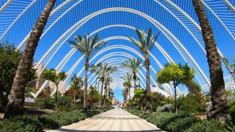 The City of Arts and Sciences of Valencia. Park promenade of the Umbracle. Stock Footage 107196192