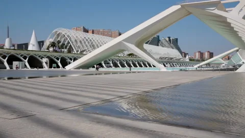 'City of arts and sciences' in Valencia designed by Santiago Calatrava Stock Footage 141049341