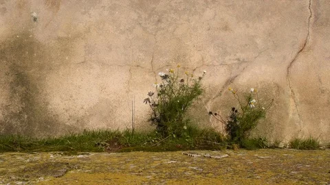 City background Stock Footage 122364506