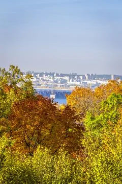 City in the background of the forest Stock Photos
