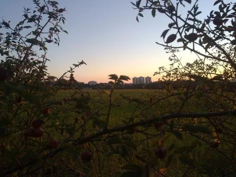 With-the-city-behind Foto stock