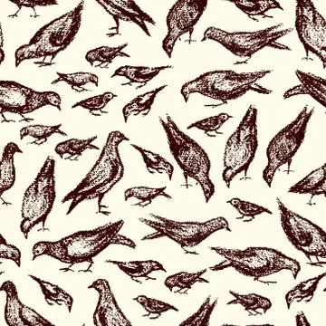 City birds pattern Stock Illustration