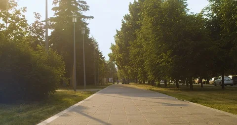City boulevard at sunset Stock-Footage 109852036