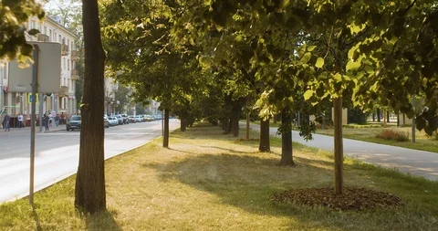 City boulevard at sunset Video stock 109855536