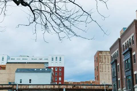 City buildings with leafless tree branches in gray sky Stock-Fotos