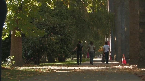 CITY BUS Stock Footage 420523