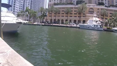 City Canal 스톡 동영상 217845405