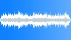 City Car Horns Sound Effect