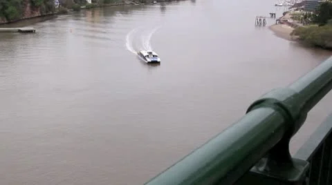 City Cat 2 Stock Footage 8853556