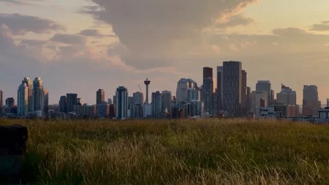City Centre sky line from in summer evening, Tower, Calgary, Alberta, Canada Stock Footage 341856859