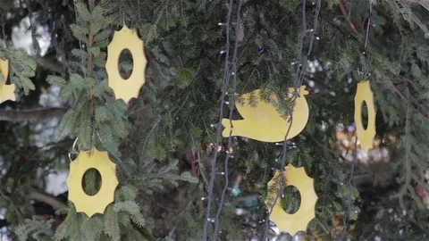 City Christmas tree decorated Stock Footage 80980448