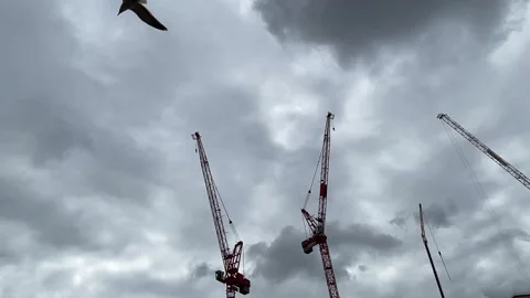 City cranes and seagulls flying Stock Footage 218242560