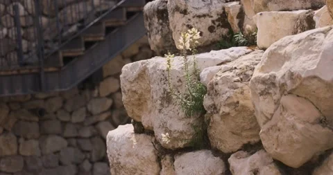 City of David Jerusalem Stock Footage 149207304