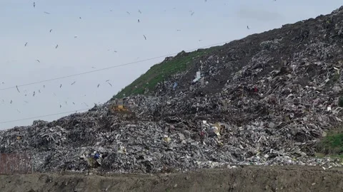 City dump. Stock Footage 111244535