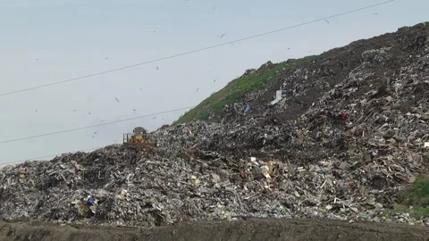 City dump. Video stock 111244550