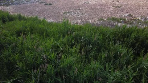 City dump mountains of garbage over which birds gulls fly Stock Footage 134144823