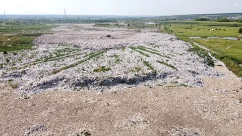City dump mountains of garbage over which birds gulls fly Stock Footage 134144884