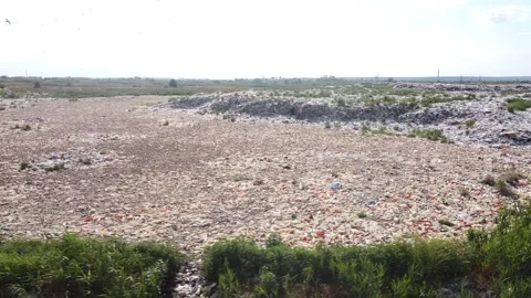 City dump mountains of garbage over which birds gulls fly Stock Footage 134145181