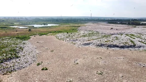 City dump mountains of garbage over which birds gulls fly Stock Footage 134145543