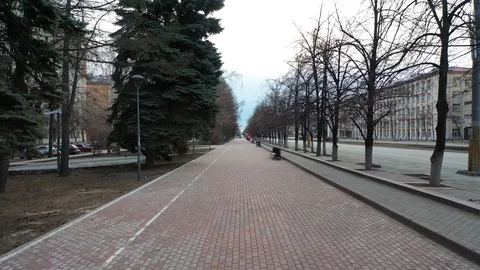 City during Covid-19. Empty main street with trees Stock Footage 127735205