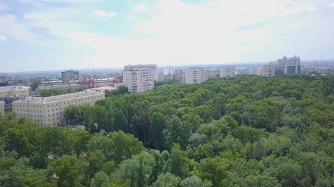 City at the edge of the forest Stock Footage 92369185