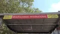 City event Brunswick International Festival of Cultures 4k or 4k+ Resolution