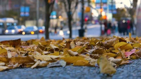 City Fall - Vancouver Downtown - Maple Leaves - Sidewalk People - Street Traffic Stock Footage 162007361