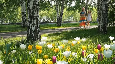 City flowers 005 Stock Footage 10826720