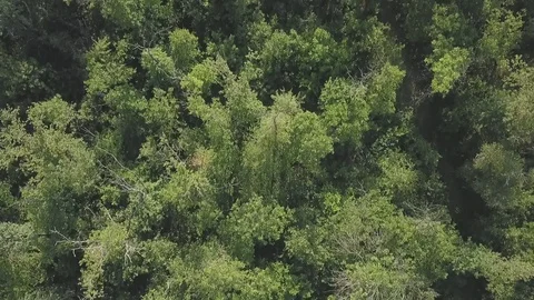 City Stock Footage 91514508