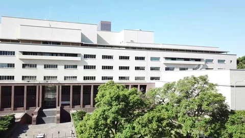 City Stock Footage 123558254