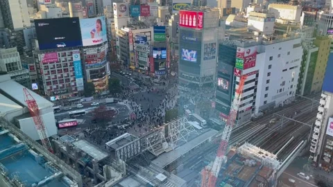 The City Stock Footage 236266411