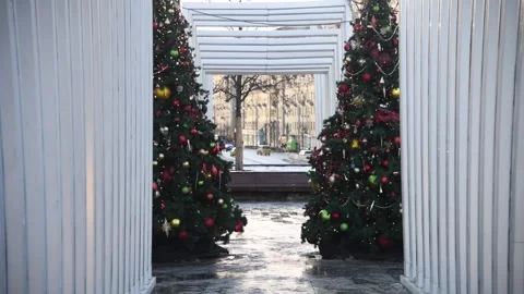 City frame from Christmas trees Stock Footage 297119253