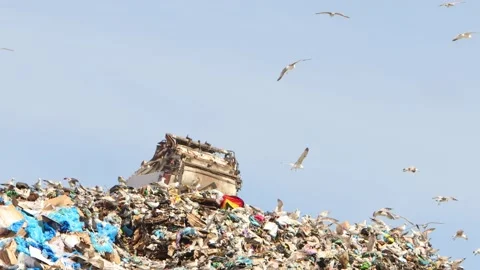 City garbage dump close up Stock Footage 197629184