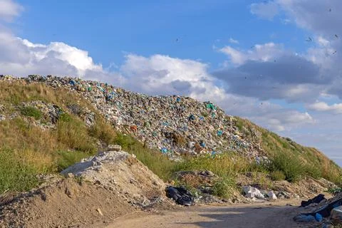 City Garbage Dump Foto stock