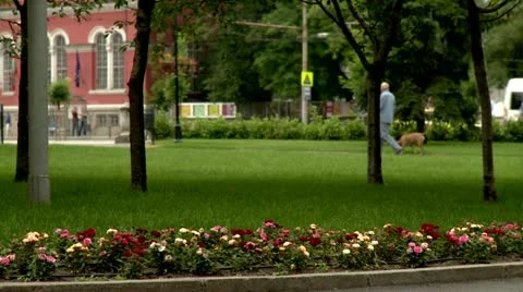 City garden Vídeo Stock 11892360